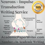 Neurons – Impulse Transduction